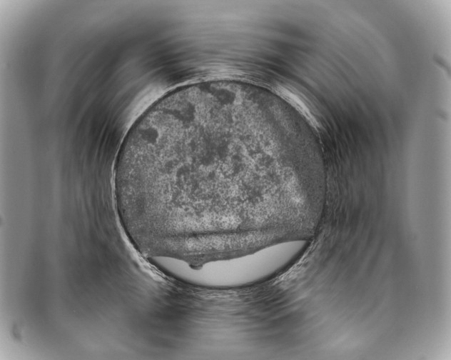 X0000096411047200802141536