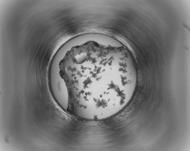 X0000096411048200802141536