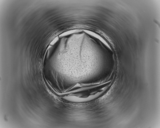 X0000096411049200802141536