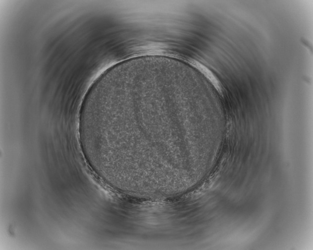 X0000096411051200802141536