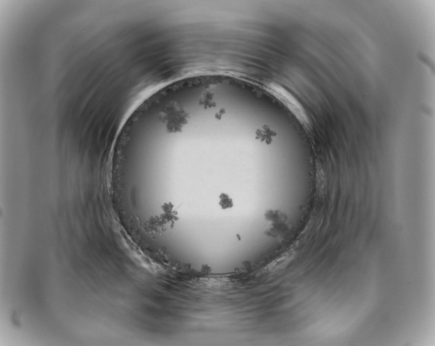 X0000096411052200802141536