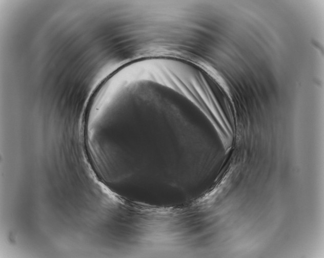 X0000096411053200802141536