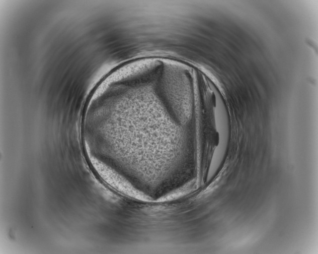 X0000096411054200802141536