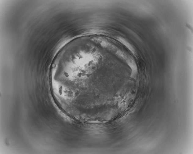 X0000096411055200802141536