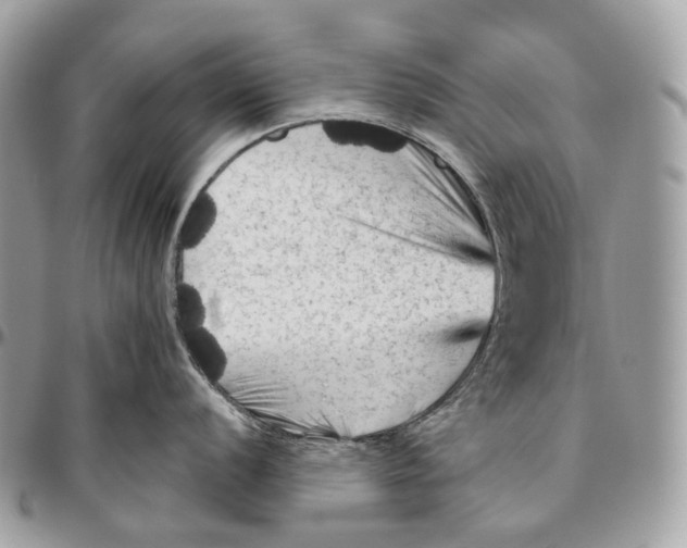 X0000096411056200802141536