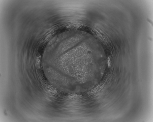 X0000096411059200802141536