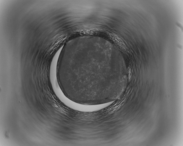 X0000096411060200802141536