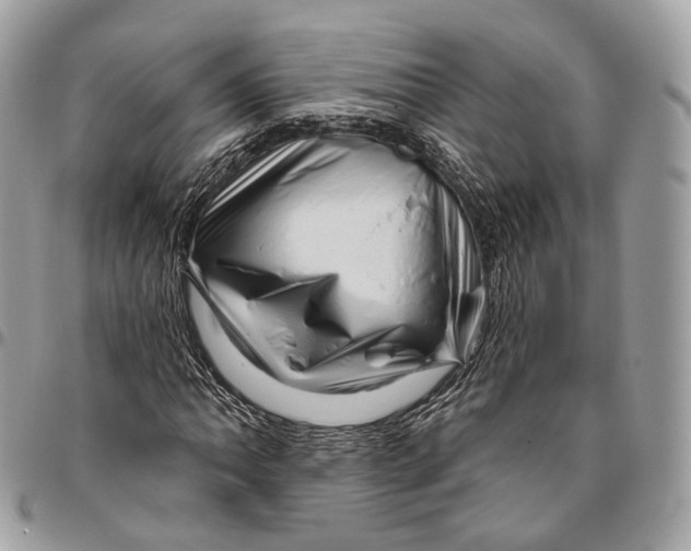 X0000096411062200802141536