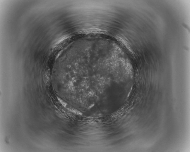 X0000096411063200802141536