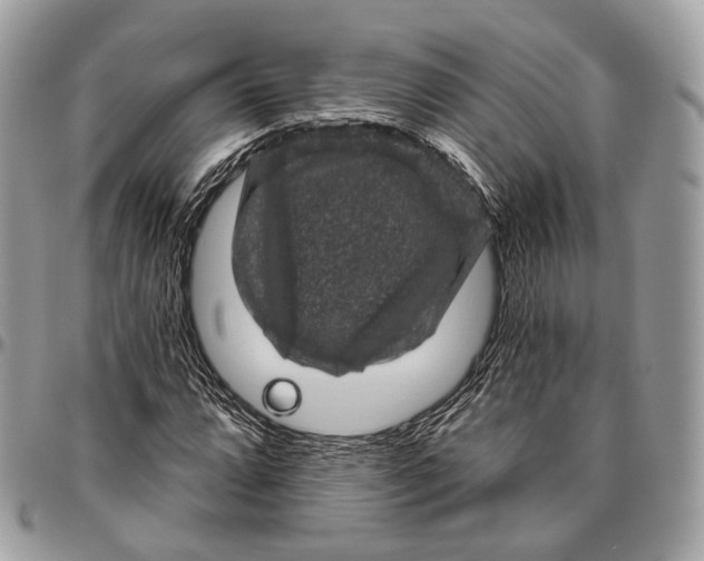 X0000096411064200802141536