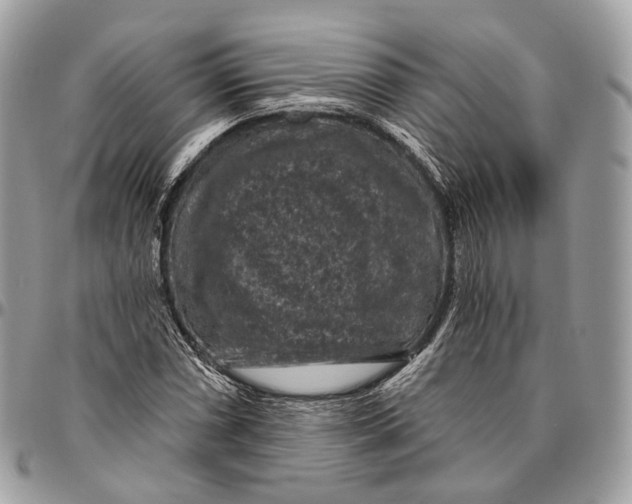 X0000096411066200802141536