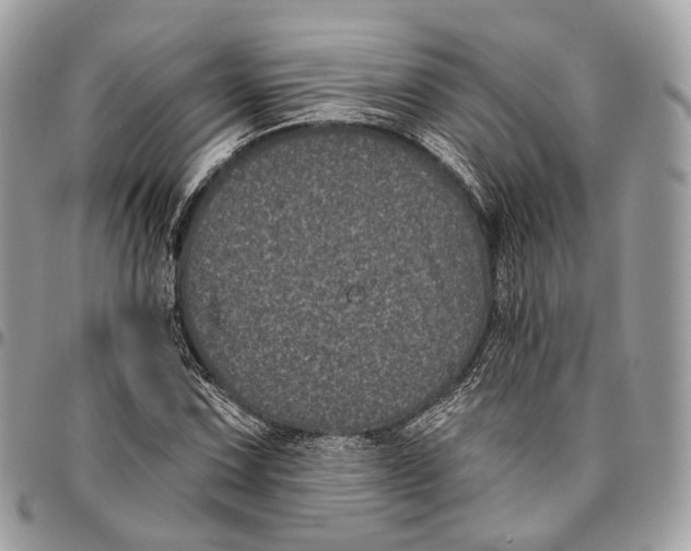 X0000096411067200802141536