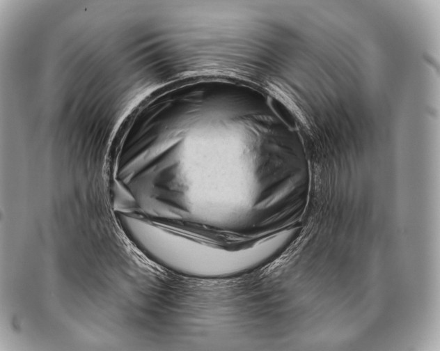 X0000096411068200802141536