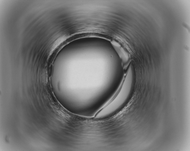 X0000096411069200802141536