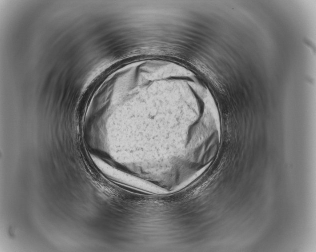 X0000096411070200802141536