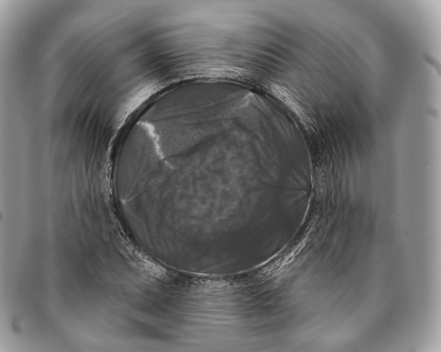 X0000096411071200802141536