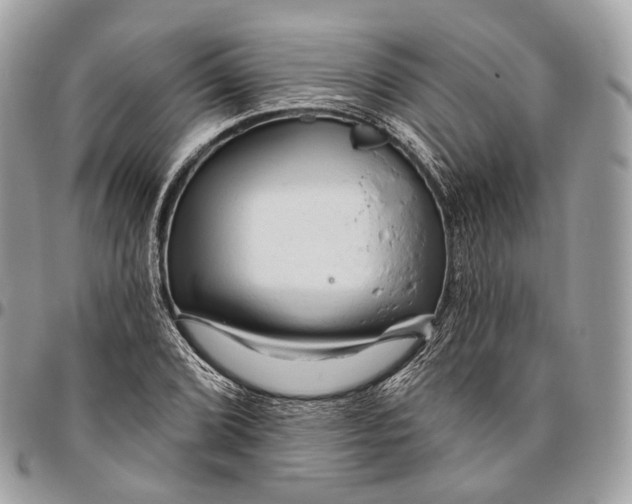 X0000096411072200802141536