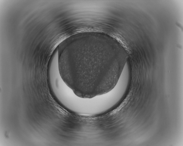 X0000096411073200802141536