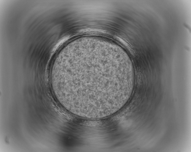 X0000096411074200802141536