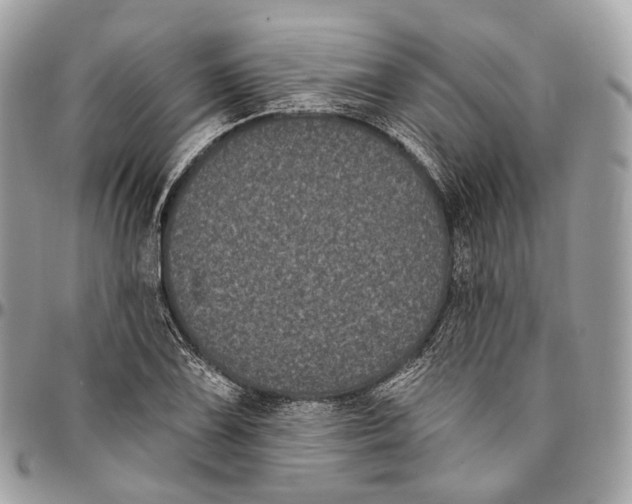 X0000096411075200802141536