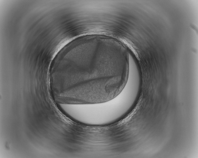 X0000096411077200802141536