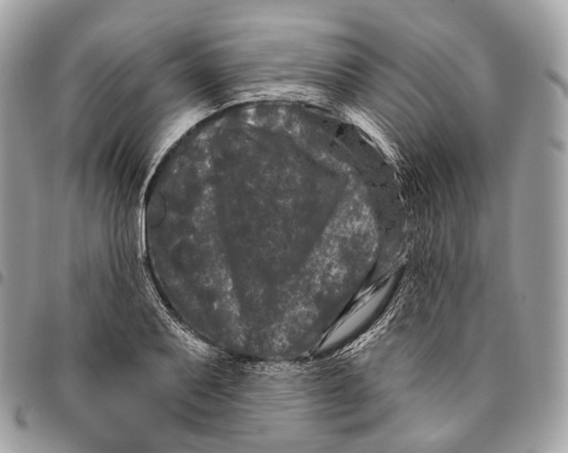 X0000096411079200802141536