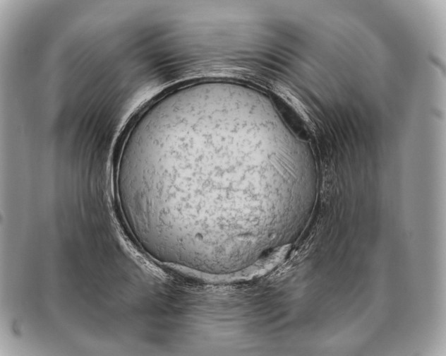 X0000096411080200802141535