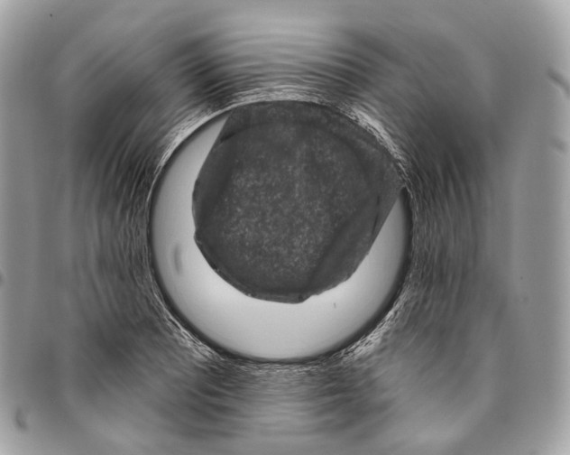 X0000096411081200802141535