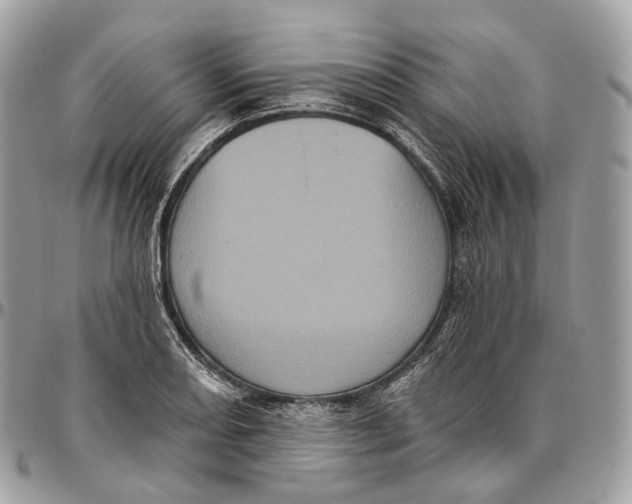 X0000096411082200802141535