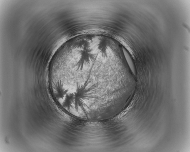 X0000096411083200802141535