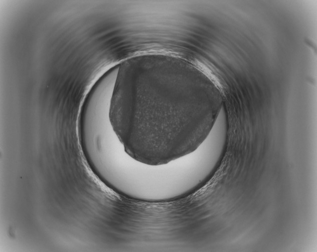 X0000096411084200802141535