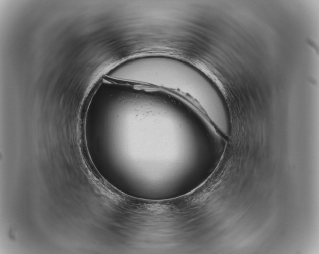 X0000096411085200802141535