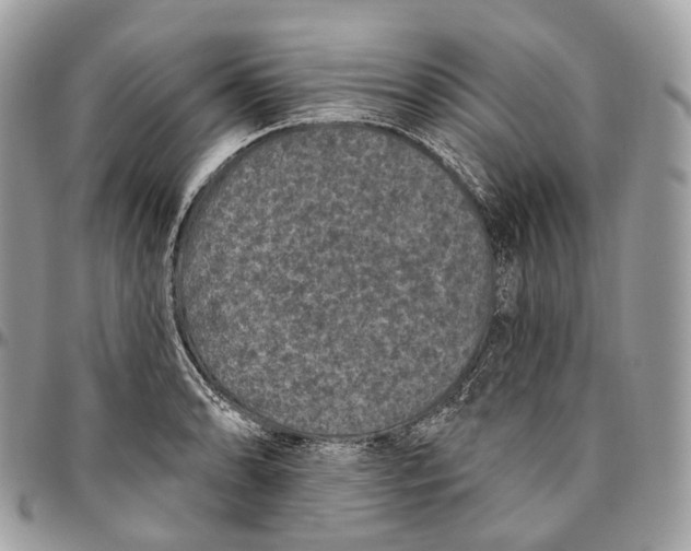 X0000096411086200802141535