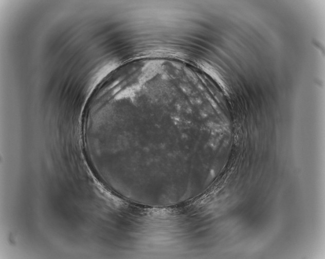 X0000096411087200802141535