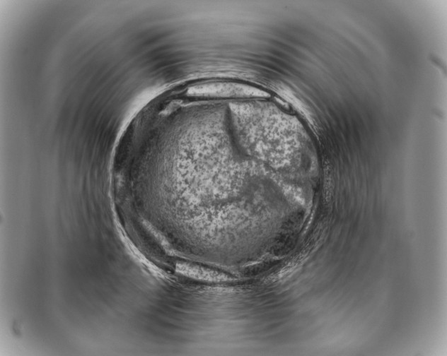 X0000096411088200802141535