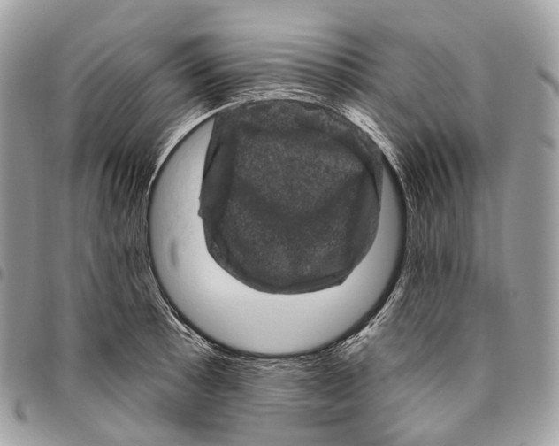 X0000096411089200802141535