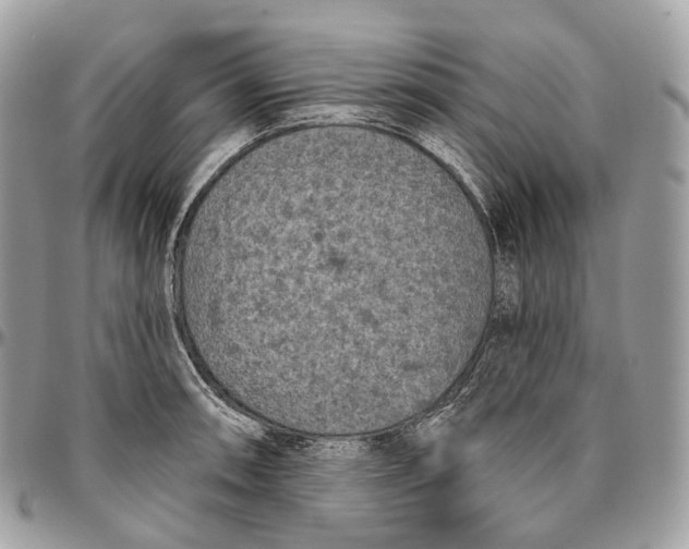 X0000096411090200802141535