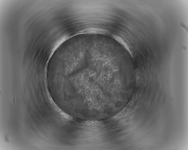 X0000096411091200802141535