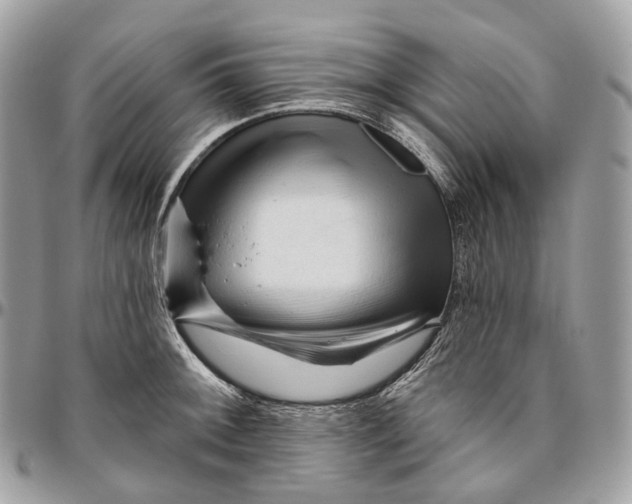 X0000096411092200802141535