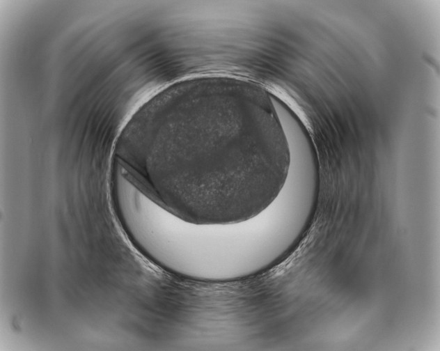 X0000096411093200802141535