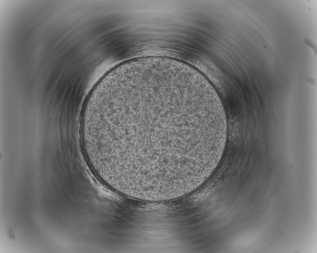 X0000096411094200802141535