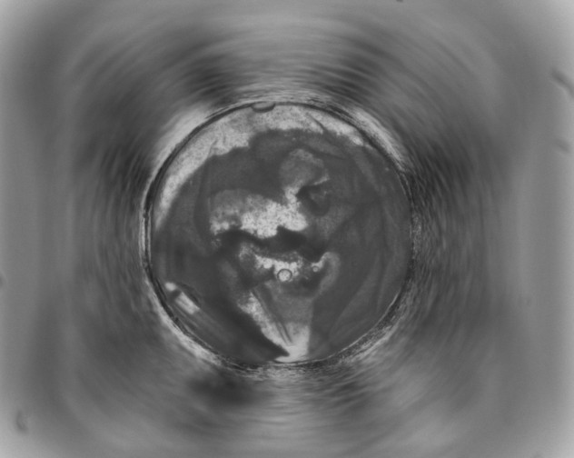 X0000096411095200802141535