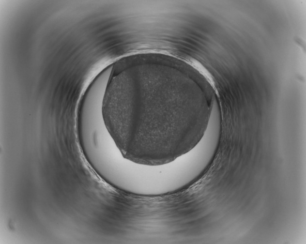 X0000096411096200802141535