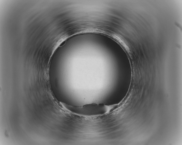 X0000096411097200802141535