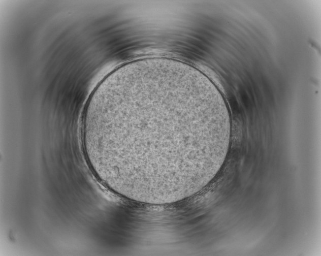 X0000096411098200802141535