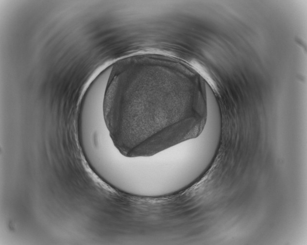 X0000096411100200802141535