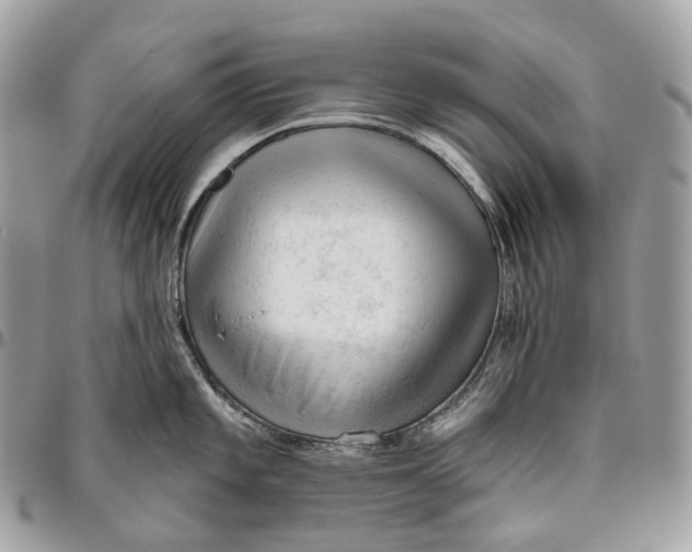 X0000096411101200802141535