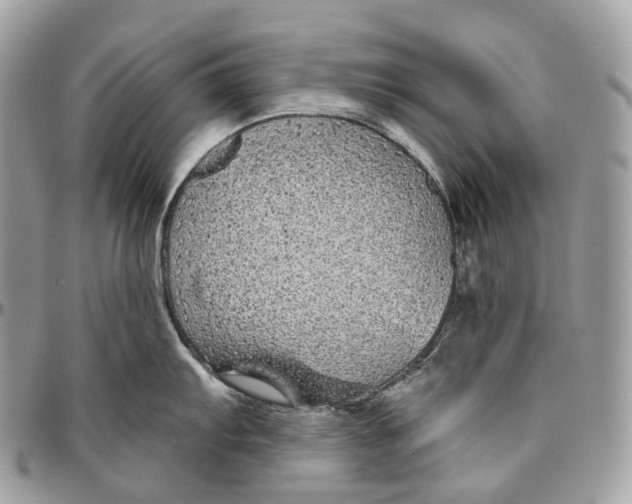 X0000096411103200802141535