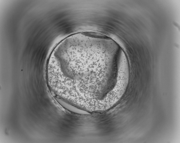 X0000096411104200802141535