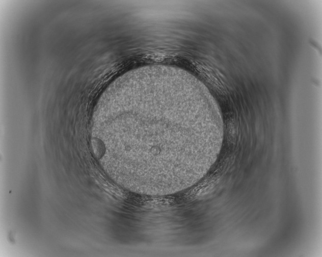 X0000096411105200802141534